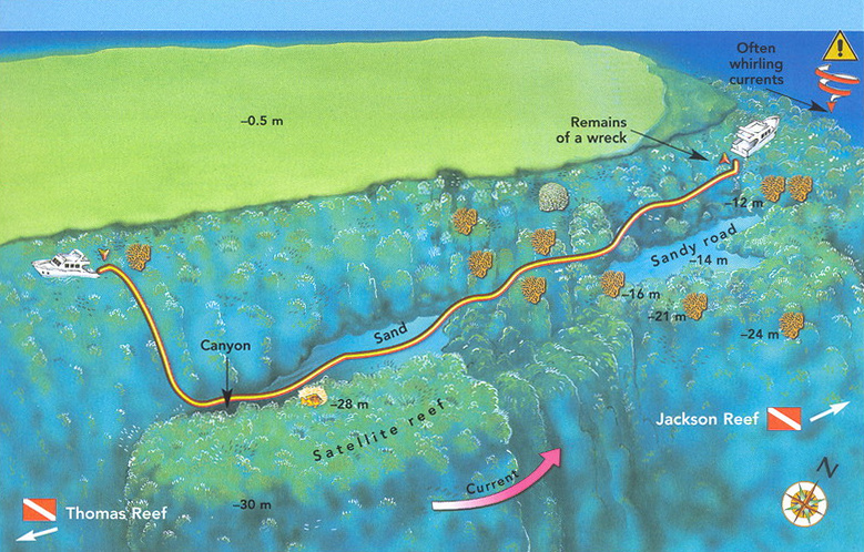 Woodhouse reef