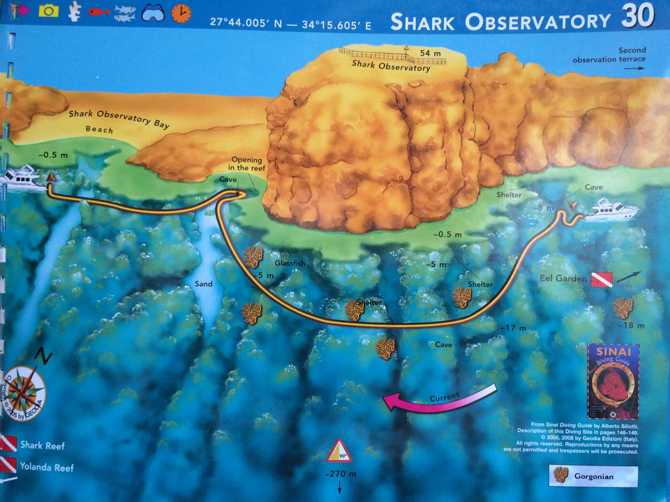 Shark Observatory