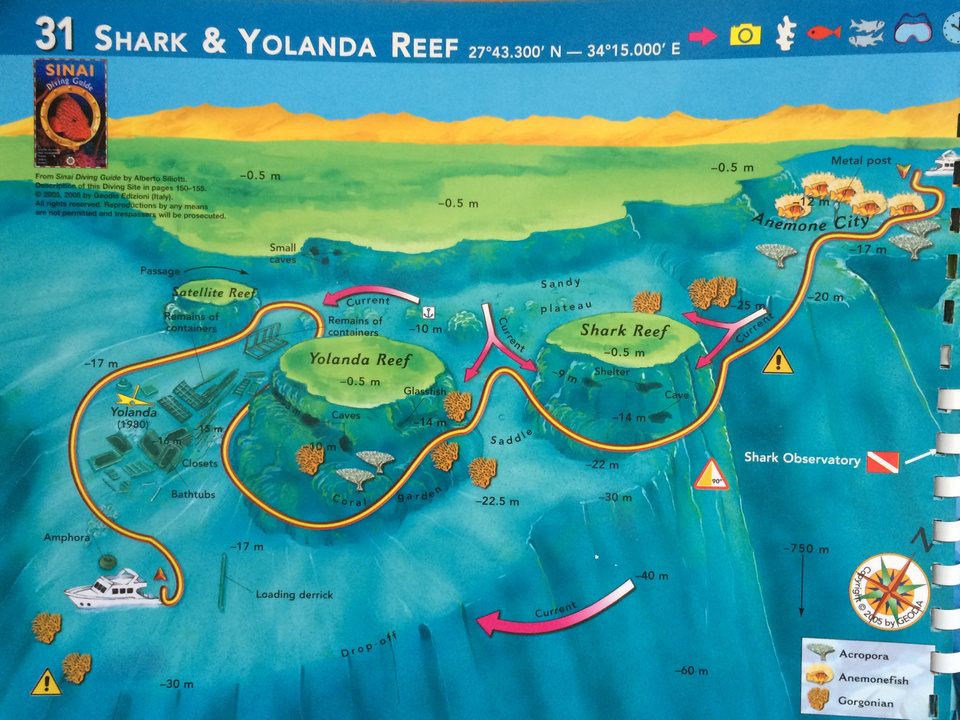 Shark Yolanda reef