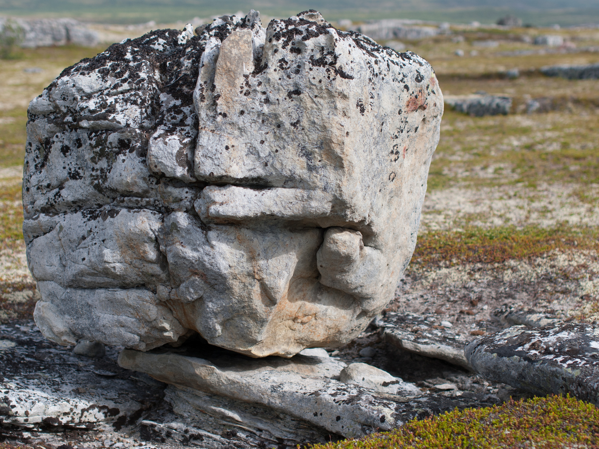 камень в тундре