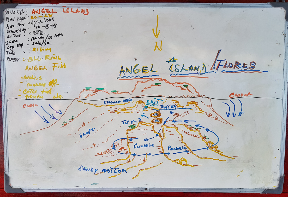 Angel Island